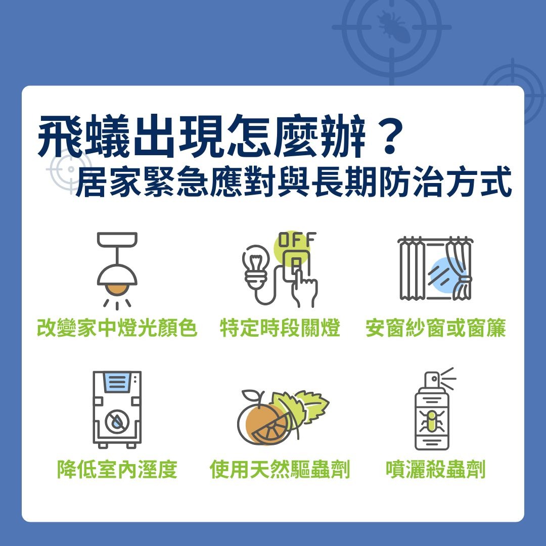 飛蟻出現怎麼辦