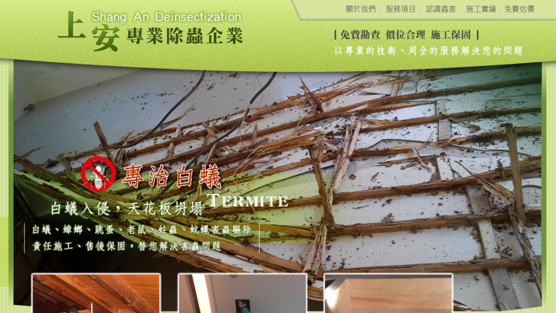 新北除白蟻公司推薦上安
