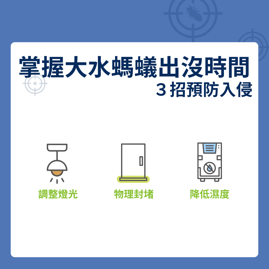 大水螞蟻出沒時間