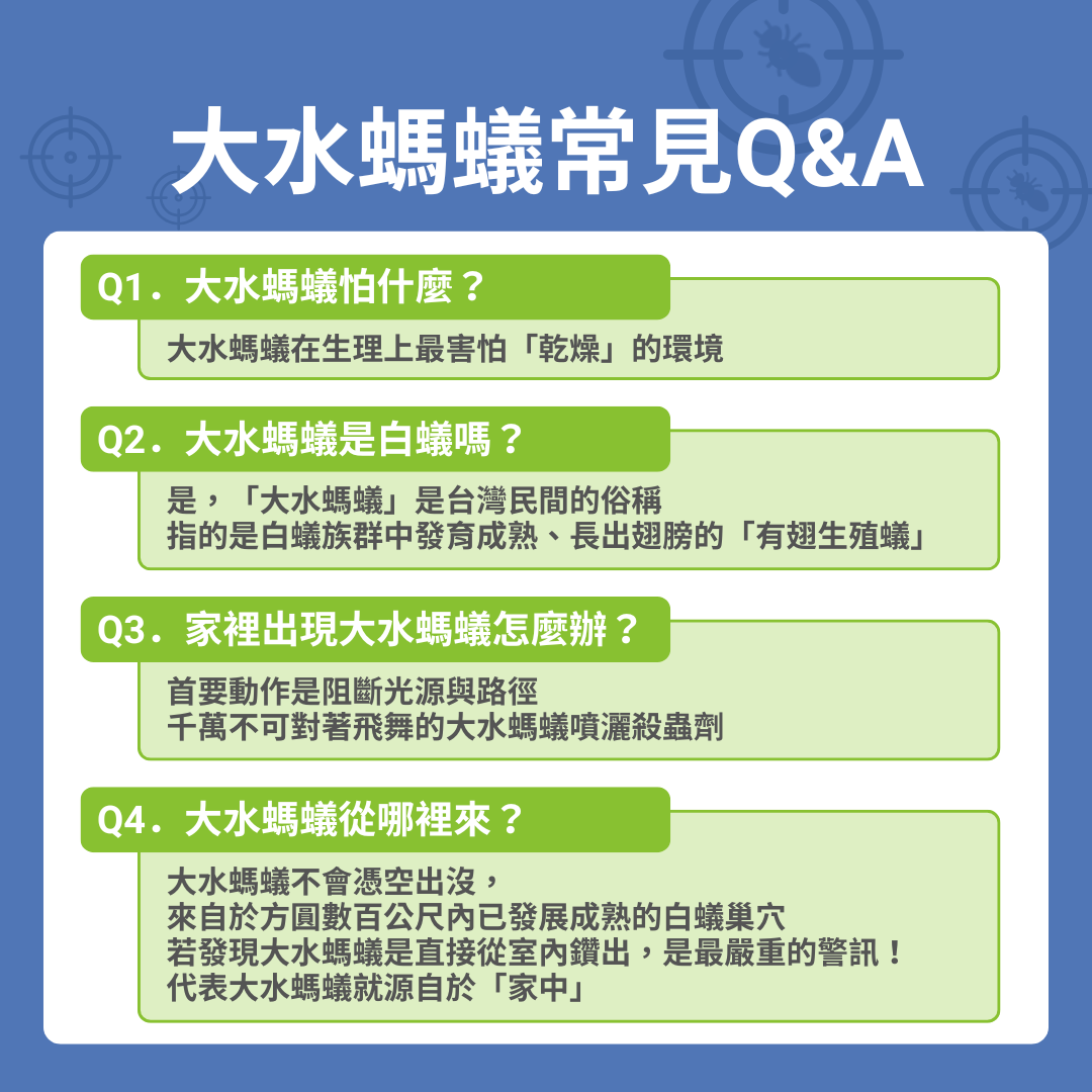 大水螞蟻常見問題