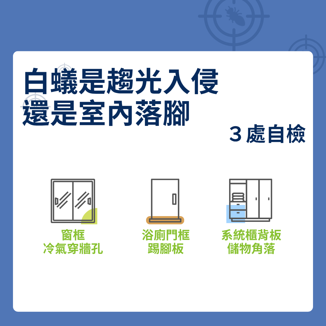 白蟻是趨光入侵還是室內落腳
