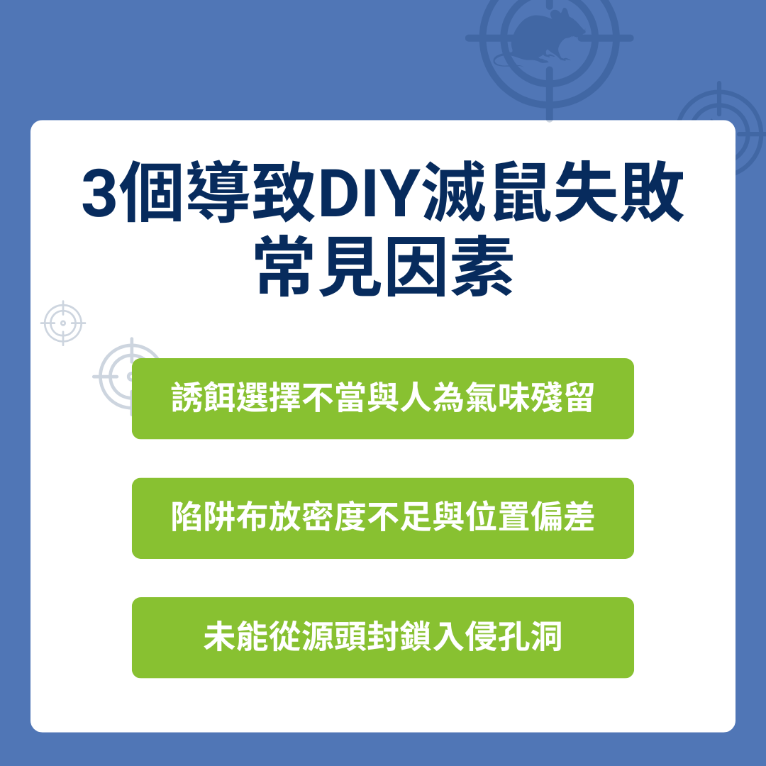老鼠抓不到怎麼辦