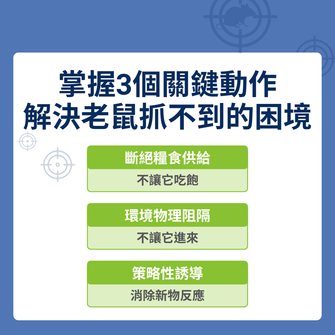 成功抓老鼠