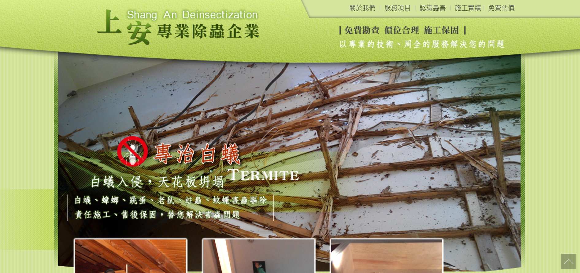 新竹除白蟻公司推薦