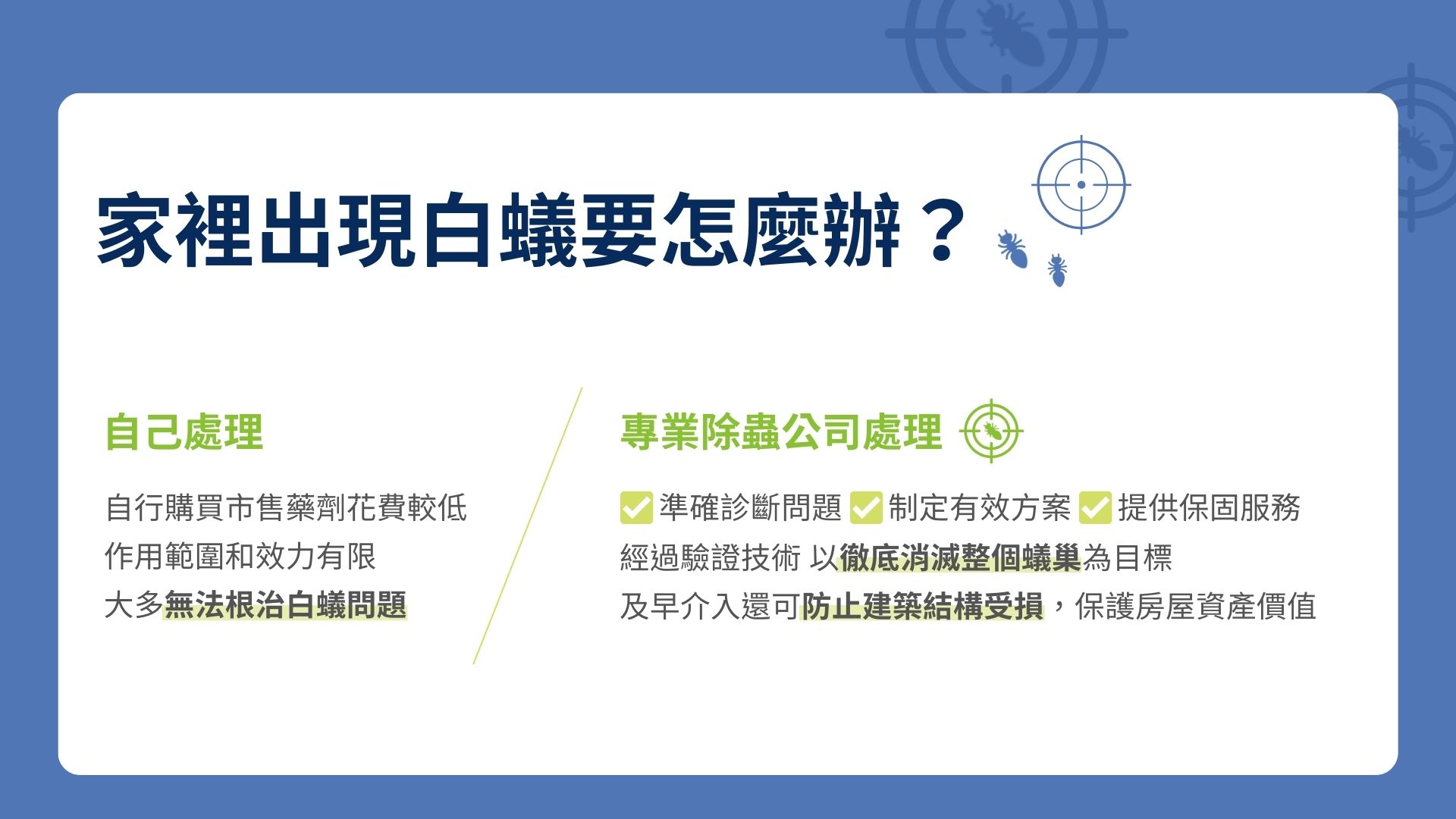 家裡出現白蟻怎麼辦？